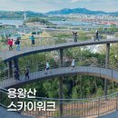 양화초등학교 | 용왕산 스카이워크 주차, 가는길, 아이와 가볼만한곳 추천