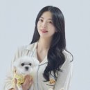 101애견유치원 네이버블로그