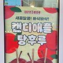 대단한탕후루양주 이미지