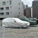 캐럿틴트