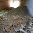 자갈농장 이미지