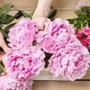 장은진정신건강의학과의원 이미지