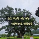 은행나무1길 | 투어 I 가화정 안창살 먹고 I 식물원카페서 마시고 I 금산 요광리 은행나무 정기받고 I 10만원 페이백까지