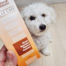 댕댕이꺼 이미지