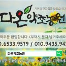 다온 약초 건강식품