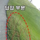 그린그린한오후 이미지