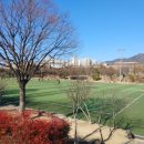 남산녹지공원 축구장 이미지