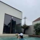 서유의섬 이미지