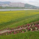 양산천변 이미지