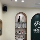 하이도그 이미지