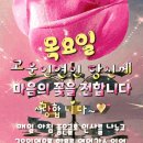 남은 삶에 위안을 얻으려면 이미지