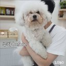 루앤오 이미지
