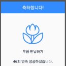 사하오토밋션 이미지