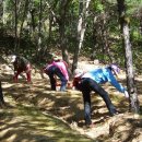 풀꽃농장 이미지