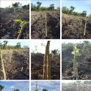 뉴바이오농장 이미지