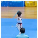 구단태권도 이미지