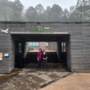 치유의숲 화장실 이미지