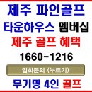 (주)파인그룹홀딩스 | 제주 파인골프 타운하우스 무기명 골프회원권[보증금]