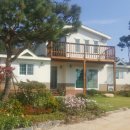 양평-용문-용문-1 이미지