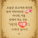 꽃길행복한그날 | 퇴사일기 ep. 1 제약회사 퇴사이유, 퇴사 후 마냥 행복한 시간들