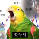 유월건축