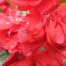 월항면 복지회관 이미지