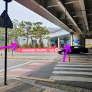 롯데몰 앞 횡단보도(2) 이미지