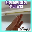 행정남로 | 거실 천장몰딩 깨짐 복원작업 시공사례