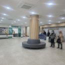 상하북종합사회복지관 | 양산 상하북종합사회복지관 장애 학생 방학 돌봄 사업 특수학급 원예 베고니아 식물 심기 프로그램