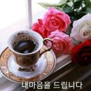 한산4교 Daum카페