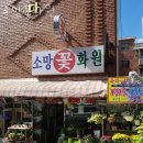 소망꽃화원 이미지