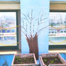 안산 마루병원 이미지