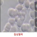 정원한의원 이미지