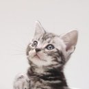 외양농장 이미지