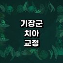 미시건치과의원 | 부산 기장군 치아교정 잘하는 전문치과 병원 추천 | 비용 후기 설측교정 돌출입 앞니 투명 무턱 부분...
