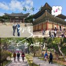 2025년10월31일(금) 경기도 가평군.♤가평ㆍ내수면연구원＞청평역~대성리역♤트레킹을 다녀와서ᆢ내 나이60살때 이미지