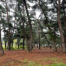 해송수산 - 신안군 압해로 1849 | 해송수산