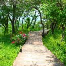 영목항바다민박 이미지