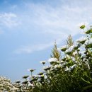 동명대학교 기숙사 이미지