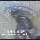 지성통상