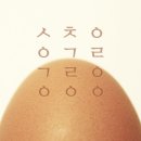 싱싱계란 이미지