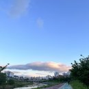 단기 다이어트 정체기 기간 이유 극복 뚫는법 후기부터 정체기없는 디톡스다이어트 소개 Apex ems...