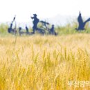 구포이음 도시재생사업 이미지