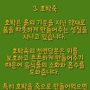 안명섭 Daum카페