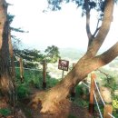 도청마을 이미지