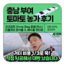 세도농장 | [후기] 부여 세도 토마토 농가, '조립형 화분'으로 비용 절감 &amp; 에스제이 맞춤 배지 시공 성공!(광고 X)