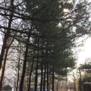 (주)부일금고