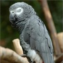 색채심리 이미지