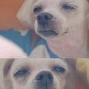 나도 이미지