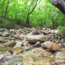 대운산 내원암 계곡 이미지